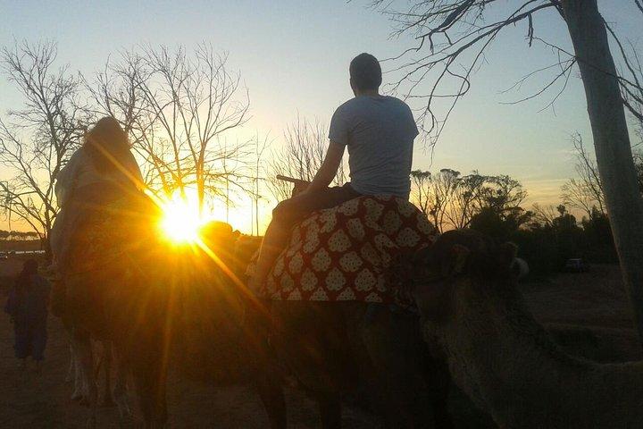 Agadir Camel Riding + Tramonto e Cena (barbecue)