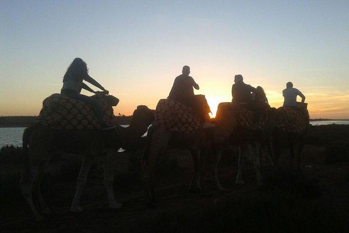 Agadir Camel Riding + Tramonto e Cena (barbecue)