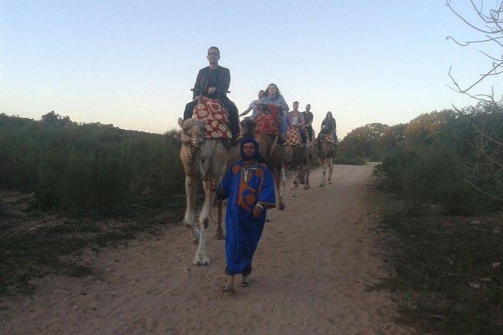 Agadir Camel Riding + Tramonto e Cena (barbecue)