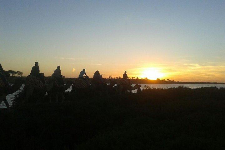 Agadir Camel Riding +Sunset and Dinner( barbecue)