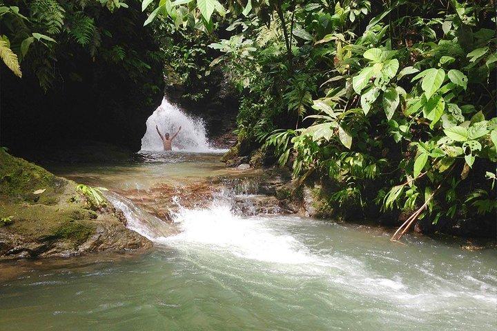 Tour delle cascate di Ebano e della foresta pluviale