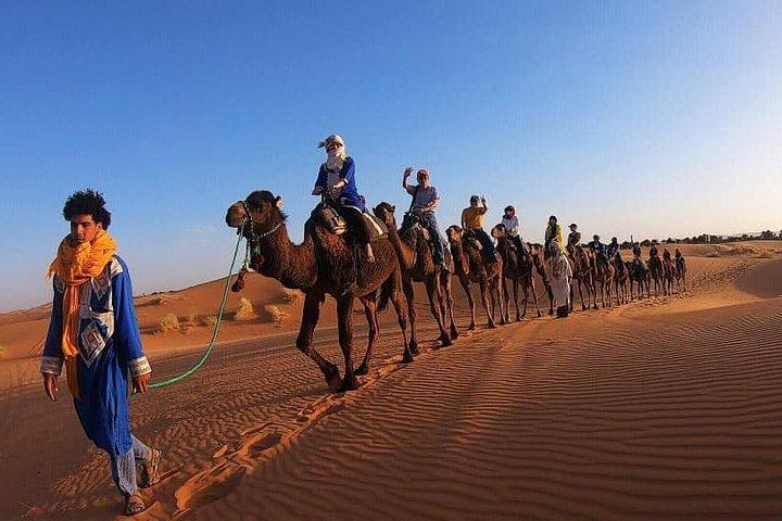 Experiência de passeio de camelo