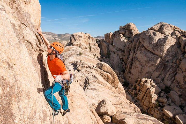 Klatreture i Joshua Tree National Park (4 timer)