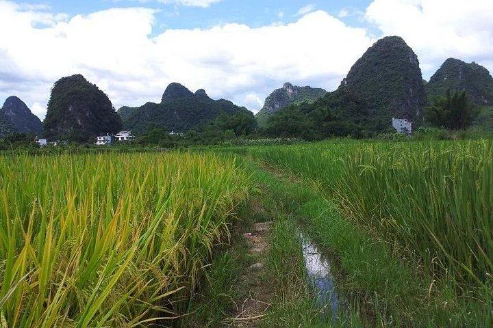 Excursion d'une journée à pied à Yangshuo