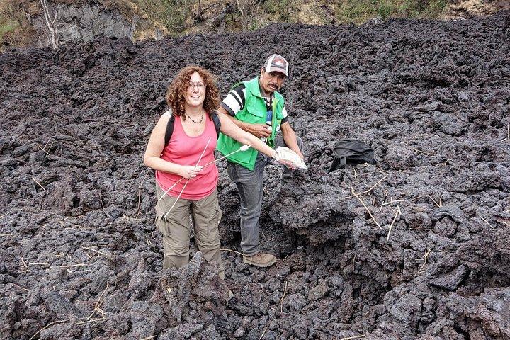 グアテマラシティからのパカヤ火山日帰り旅行