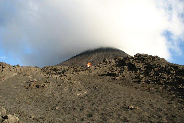 グアテマラシティからのパカヤ火山日帰り旅行