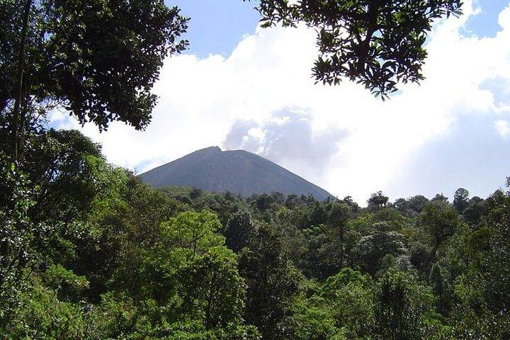 グアテマラシティからのパカヤ火山日帰り旅行