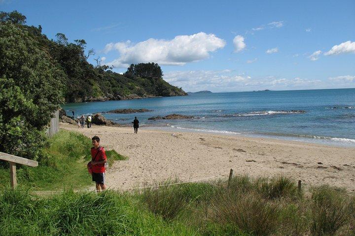 Waiheke Island Wine Escape Tour