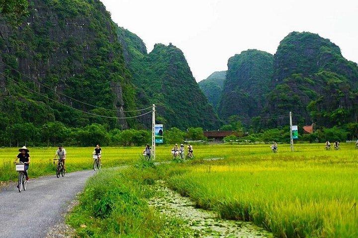 ホアルーチャンアンムア洞窟マックス9パックスへのニンビン贅沢な一日ツアー