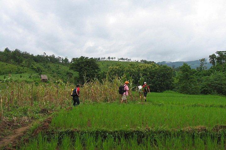 クアンシーの滝、辺境の村への 1 日トレッキング