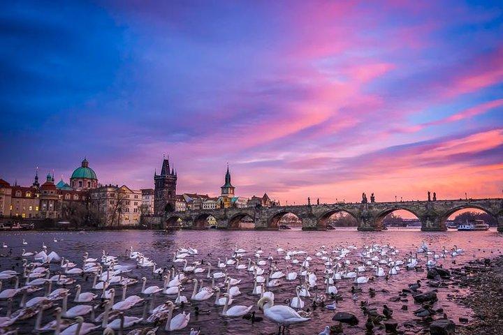 Liten gruppvandring fotvandring i Prag