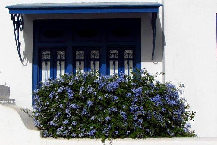 Excursion for cruises with stopover in Tunisia