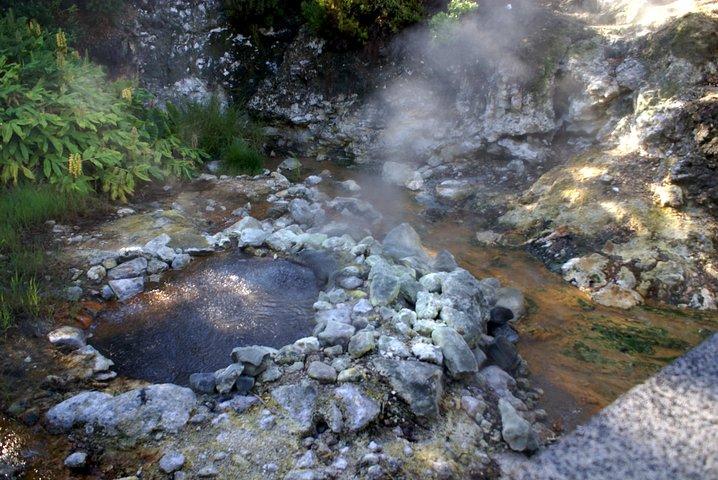 フルナス全日ツアー：温泉、伝統的なランチ＆ティー
