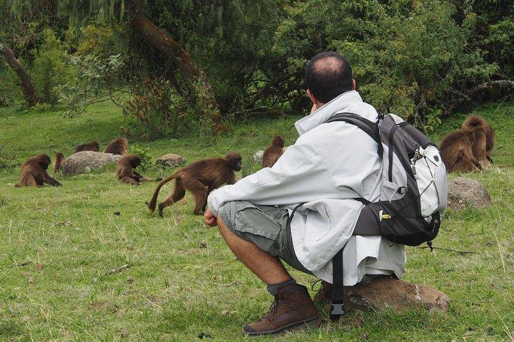 Debre Libanos Day Tour: Gelada Baboons & ponte Português