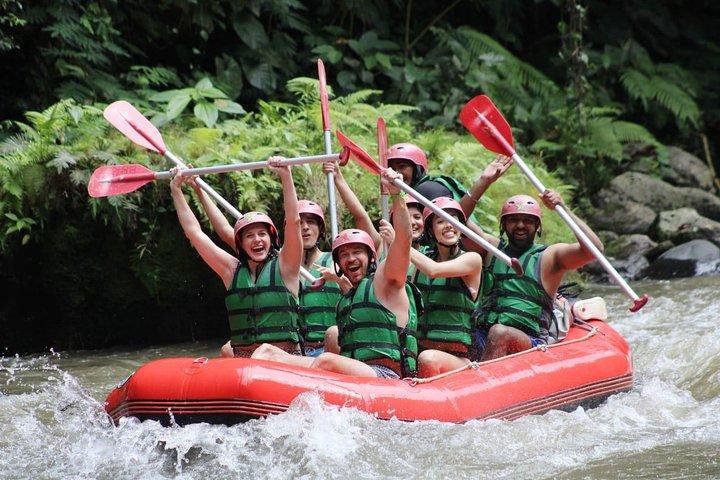 Tour de día completo: rafting en aguas bravas y lo más destacado de Ubud con todo incluido