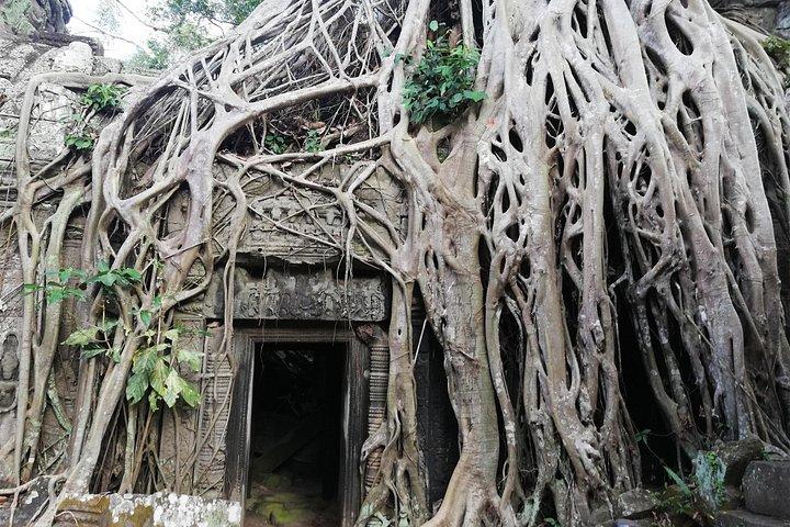 Sunrise Angkor Wat Shared Tour with pickup from your hotel