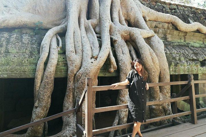 Sunrise Angkor Wat Shared Tour with pickup from your hotel