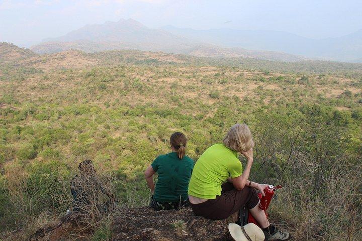 Chinnar wild valley experience day tour ( By Munnar Info)