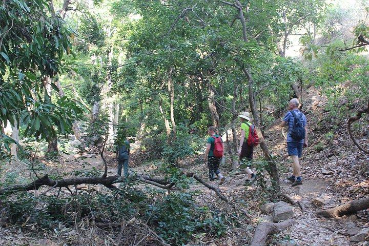 Chinnar wild valley experience day tour ( By Munnar Info)