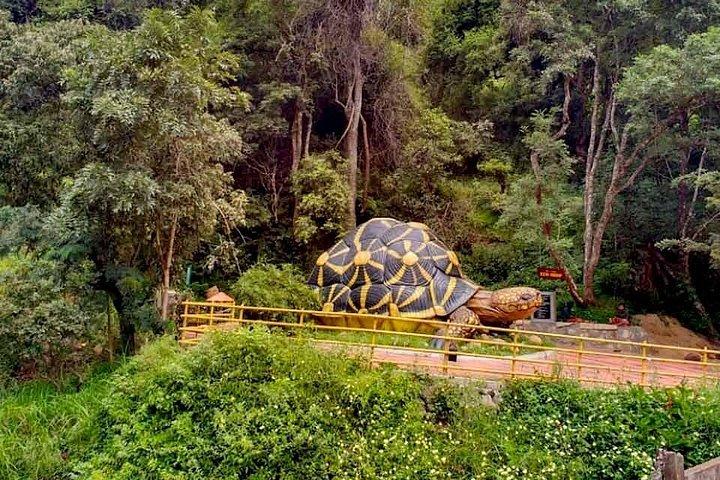 Chinnar wild valley experience day tour ( By Munnar Info)