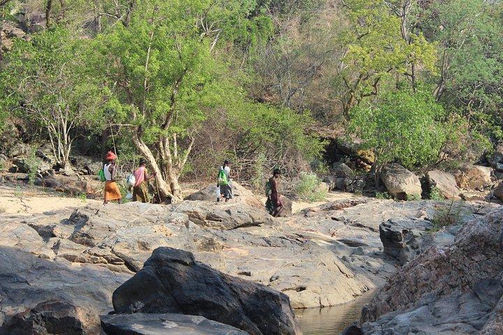 Chinnar wild valley experience day tour ( By Munnar Info)
