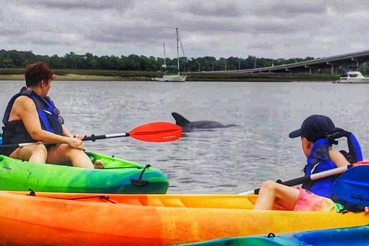Visite guidée matinale en kayak et café à Hilton Head