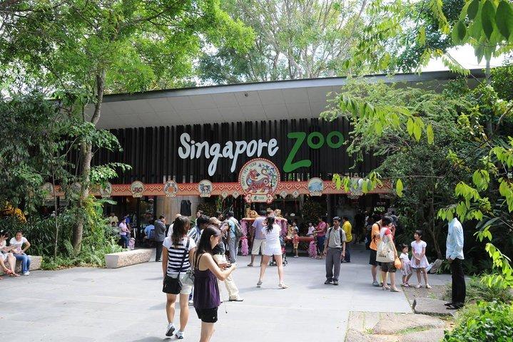 Singapore Bird Paradise & Zoo ganztägig (Ticket & Transfer)