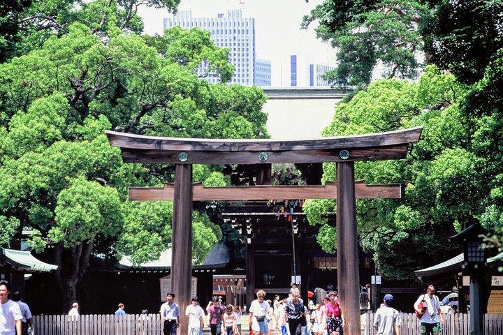 Excursão turística de meio dia em Tóquio