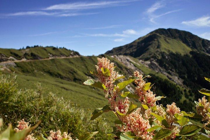 Keelung Shore Utflykt: Yangmingshan Hot Spring och Wild Vegetable Cuisine Tour