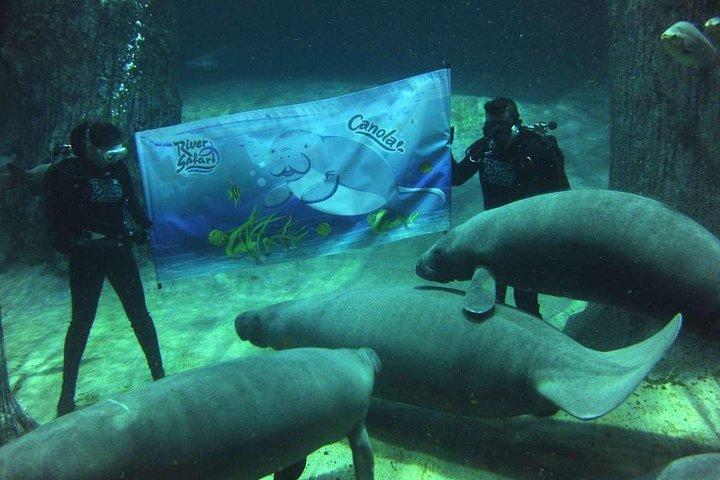 Singapore River & Night Safari-COMBO (gemeinsamer Transfer)