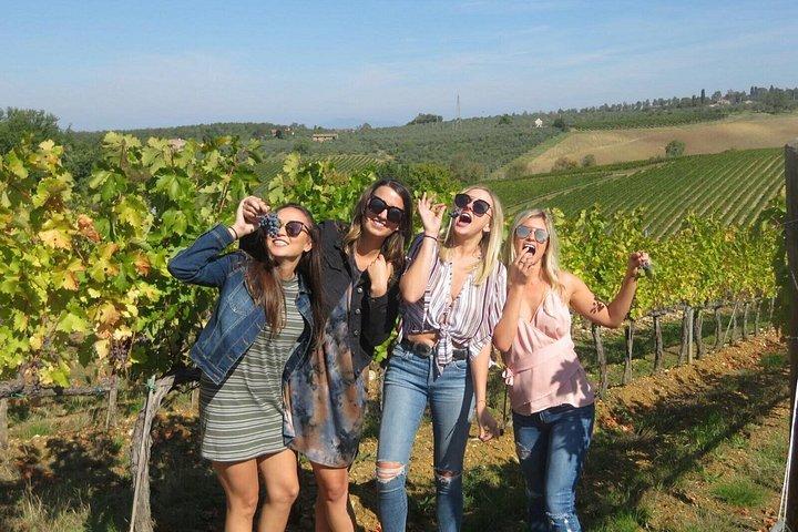 Half-day Chianti Classico Wine tour from Florence - Small Group