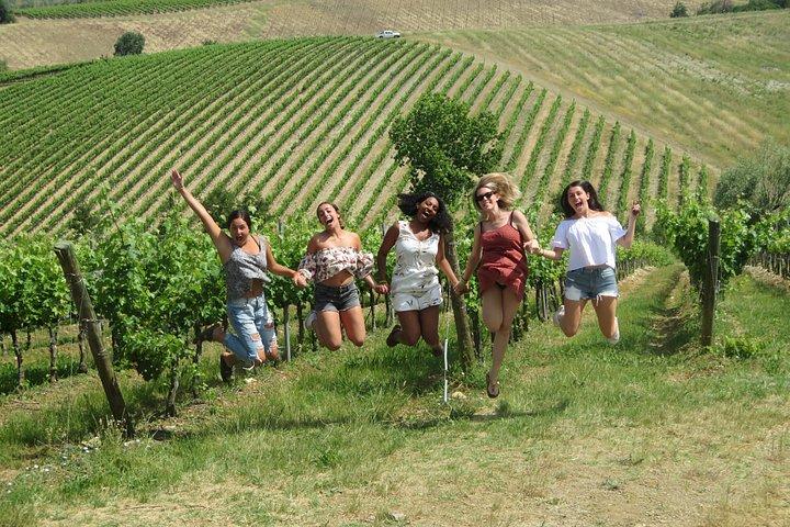 Half-day Chianti Classico Wine tour from Florence - Small Group
