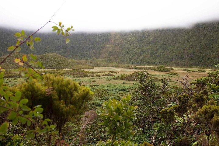 Caldeira do Faial Descent - プライベート ハイキング ツアー
