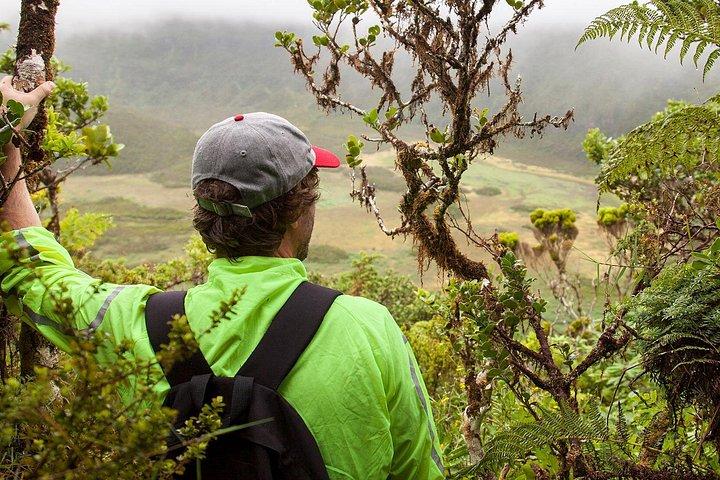 Caldeira do Faial Descent - プライベート ハイキング ツアー
