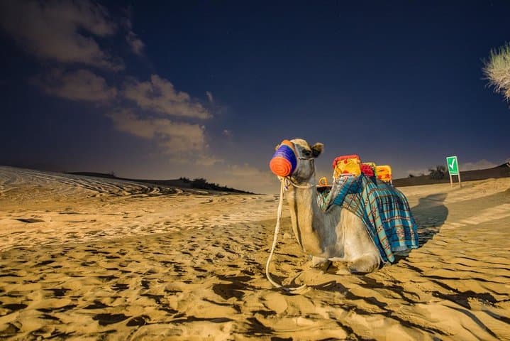 Private Evening Desert Safari with BBQ Dinner Dubai