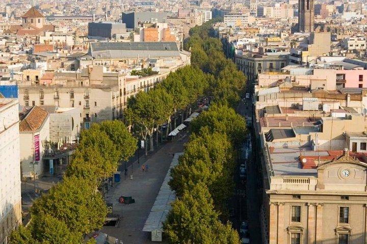 Tour privato e personalizzabile di mezza giornata a Barcellona