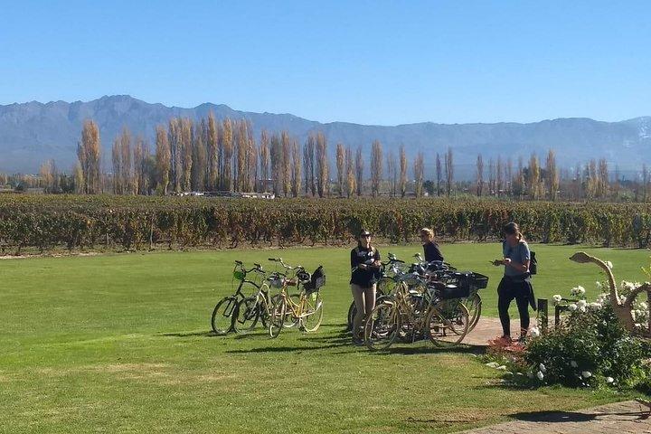 Excursion en vélo libre dans la région viticole de Luján de Cuyo (Mendoza)