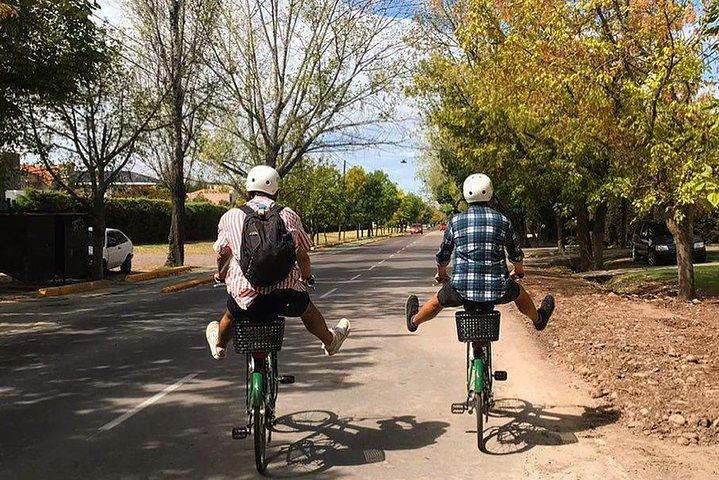 ルジャン・デ・クヨ・ワイン地域（メンドーサ）セルフガイド付き自転車ツアー