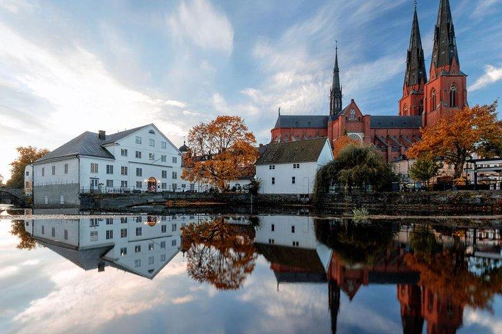 The Stockholm & Sigtuna Legacy : Un viaje vikingo VIP privado