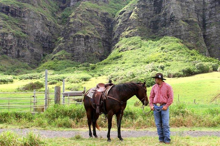 Kualoa Ranch - wandeltocht te paard