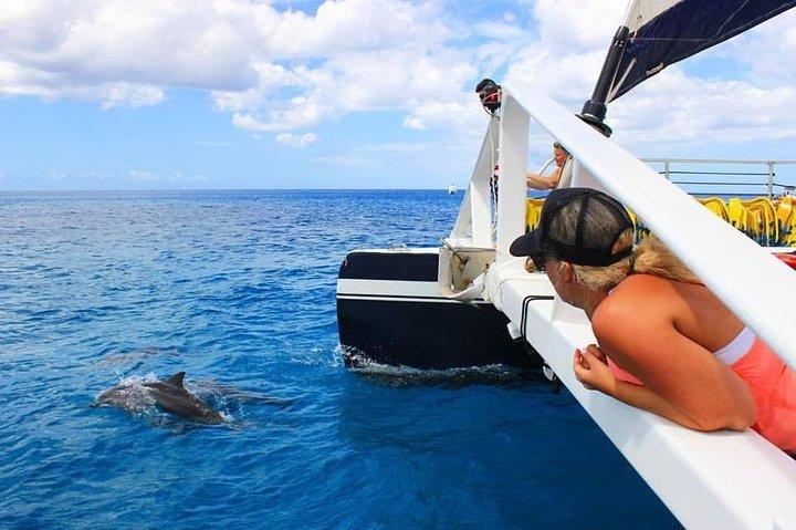 Ko Olina Catamarã Sail e snorkel com almoço
