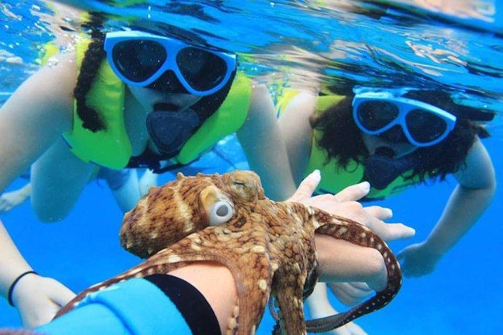 Ko Olina Catamarã Sail e snorkel com almoço