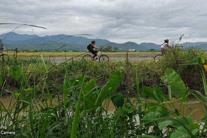 1泊2日：カントリーサイド観光とホームステイ限定。
