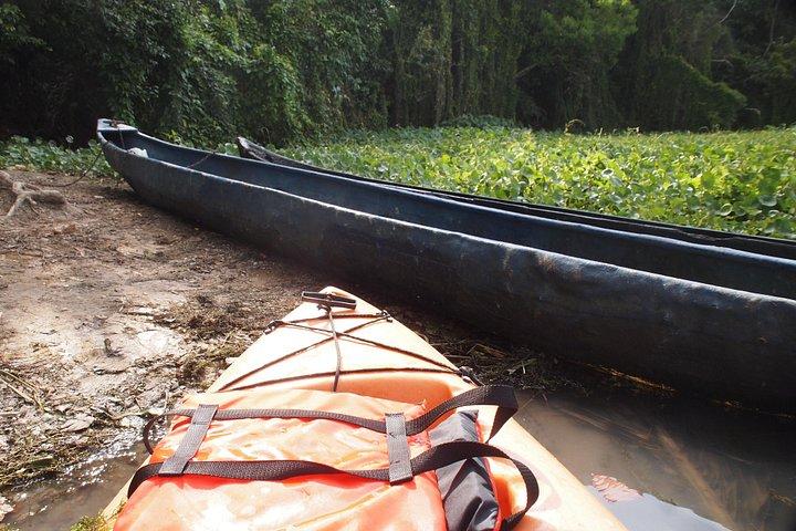 Kayaking tour in the Chagres River