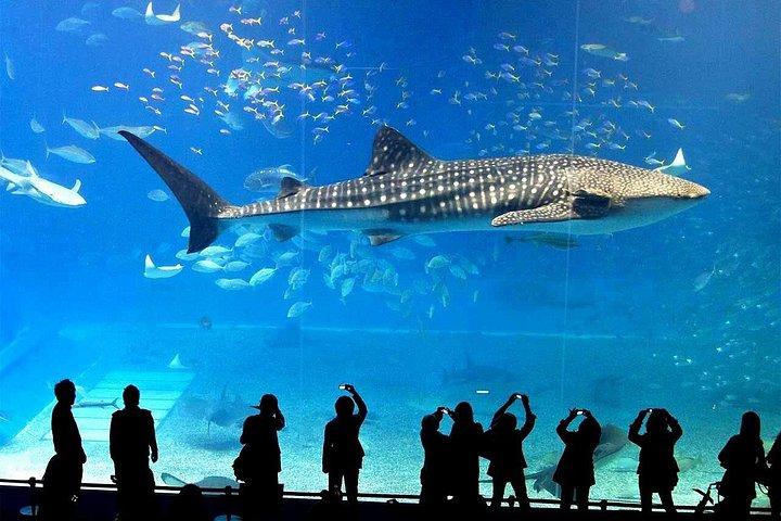 バンコク入場券のSEA LIFEオーシャンワールド