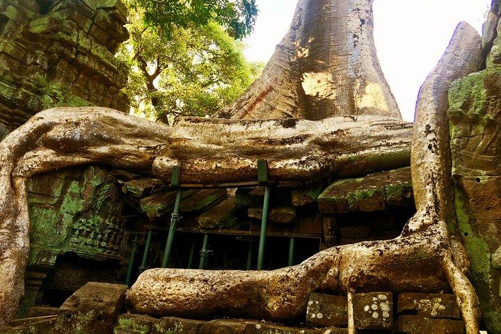 アンコール ワットの日の出とすべてのハイライト アンコール寺院のプライベート 1 日ツアー