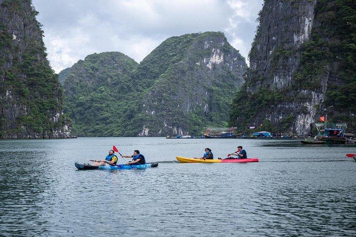 Tour privato Crociera di 1 giorno nella baia di Halong con grotta, kayak