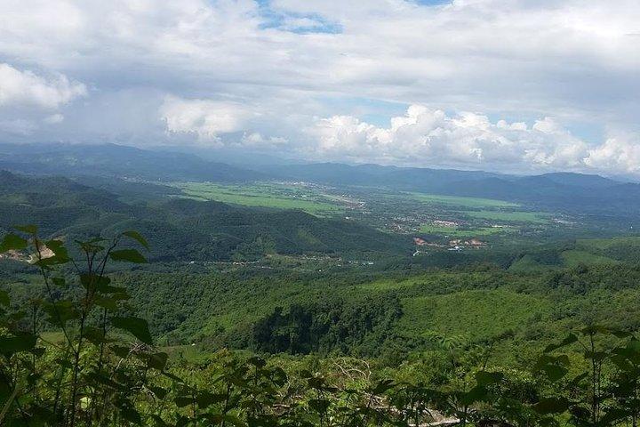 La elección del mejor excursionista: 5 días de caminata por el bosque con alojamiento en familia y camping