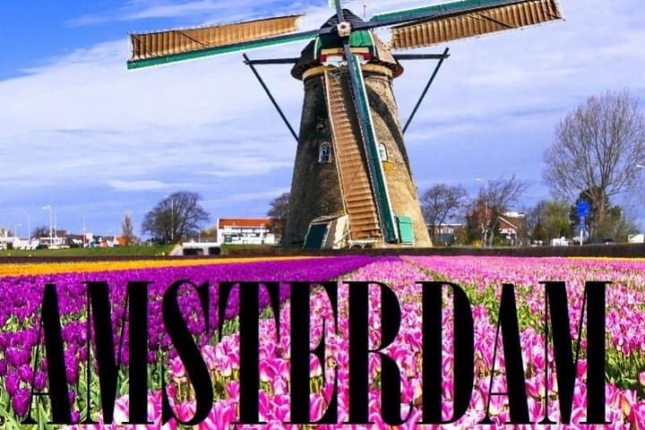Amsterdam Schiphol Airport Transfer