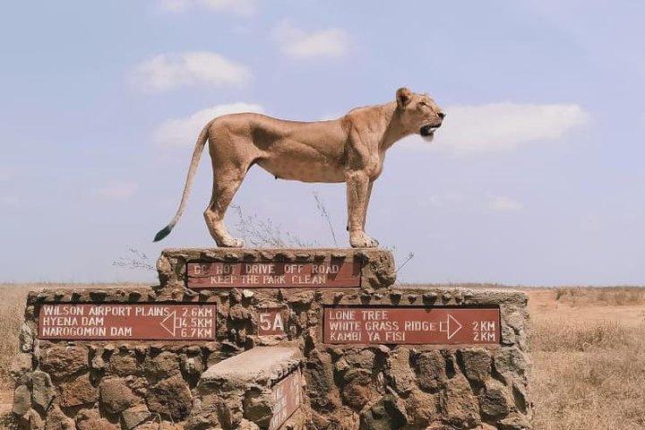 ナイロビ国立公園サファリ–アドベンチャー・アット・シティズ・エッジ無料送迎